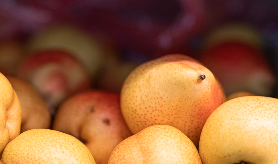 Hortifruti